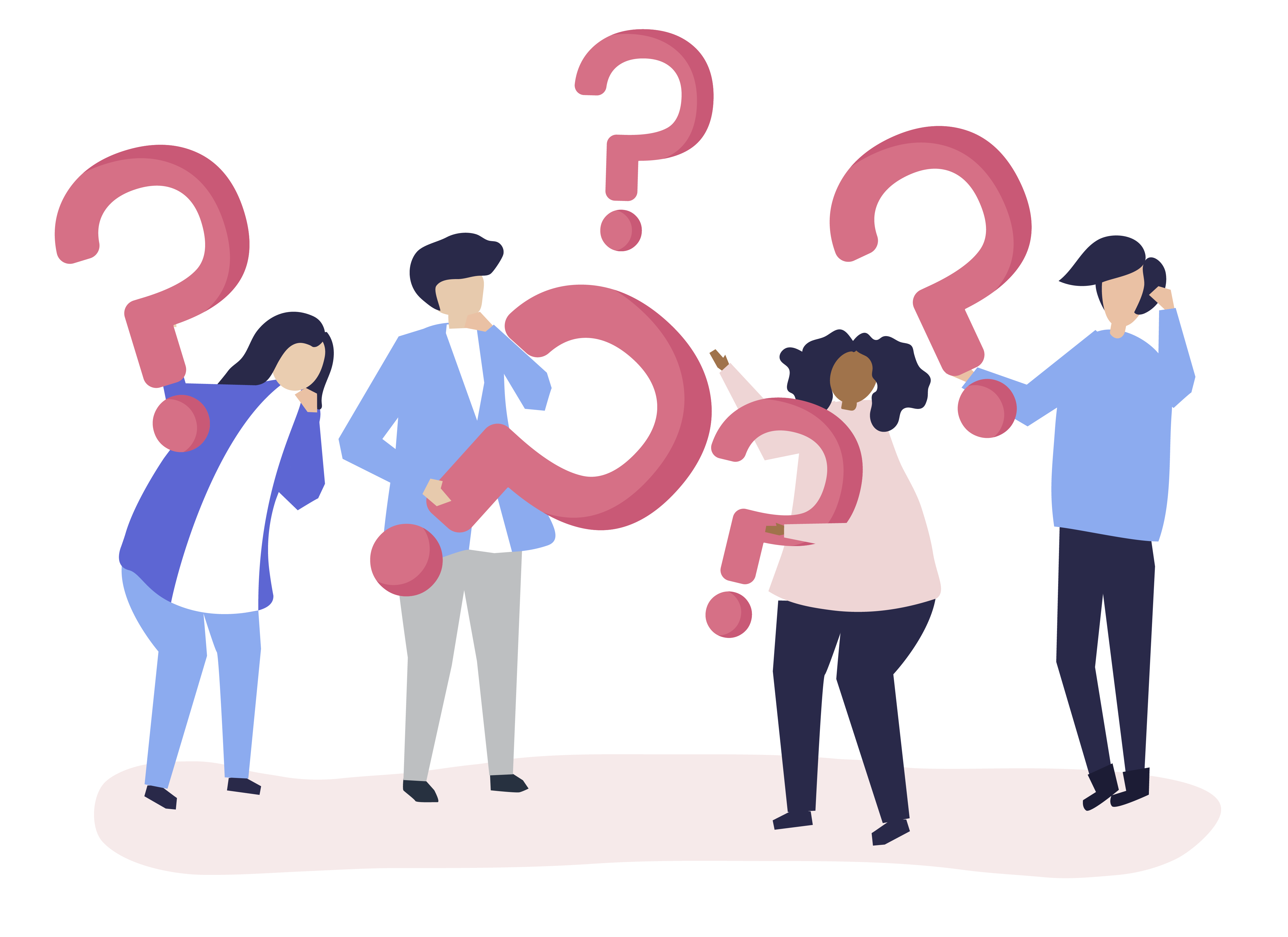 curious-team